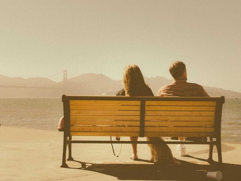 DEWALT Soft Cotton Gloves (KA) 5