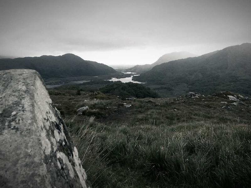 DEWALT Soft Cotton Gloves (KA) 3