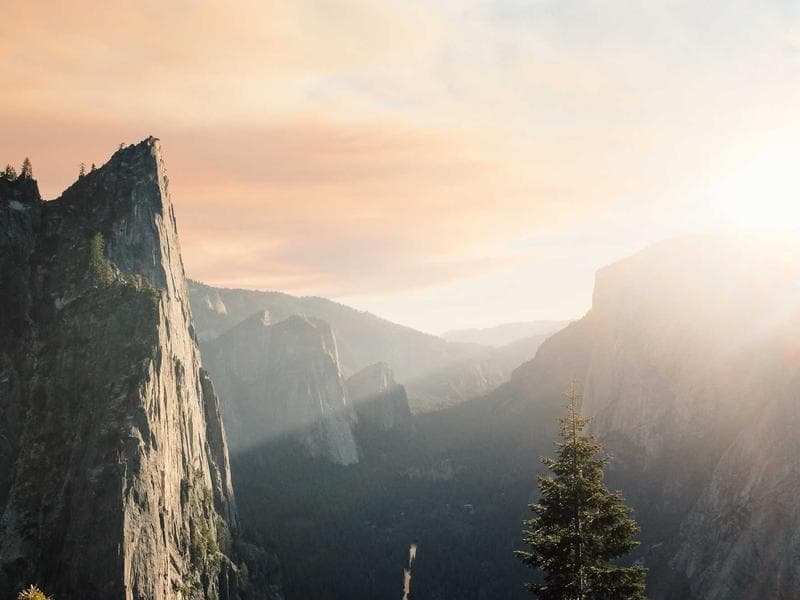 DEWALT Frozen Rubber Towels (KA) 4