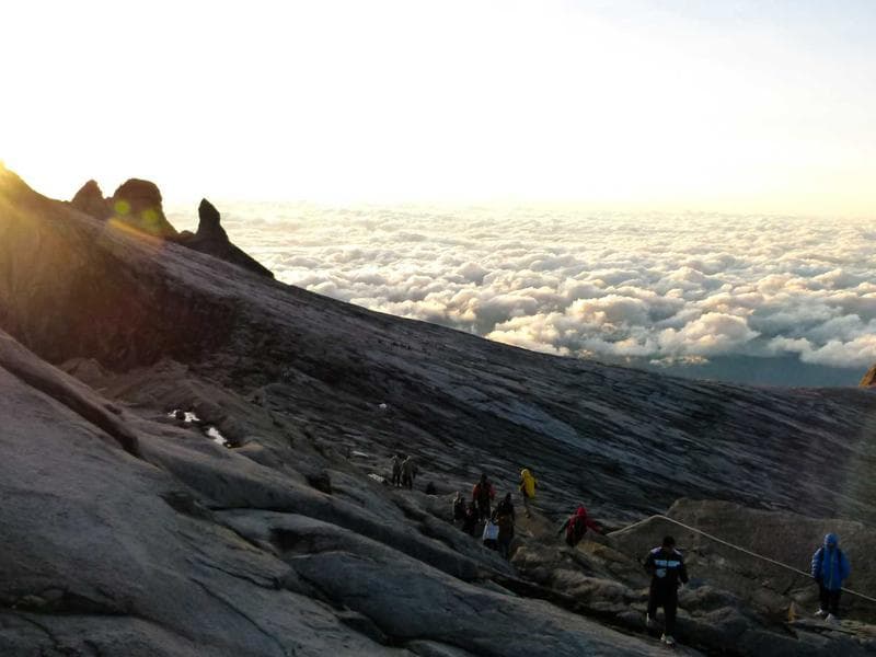 DEWALT Soft Aluminum Chicken (KA) 3