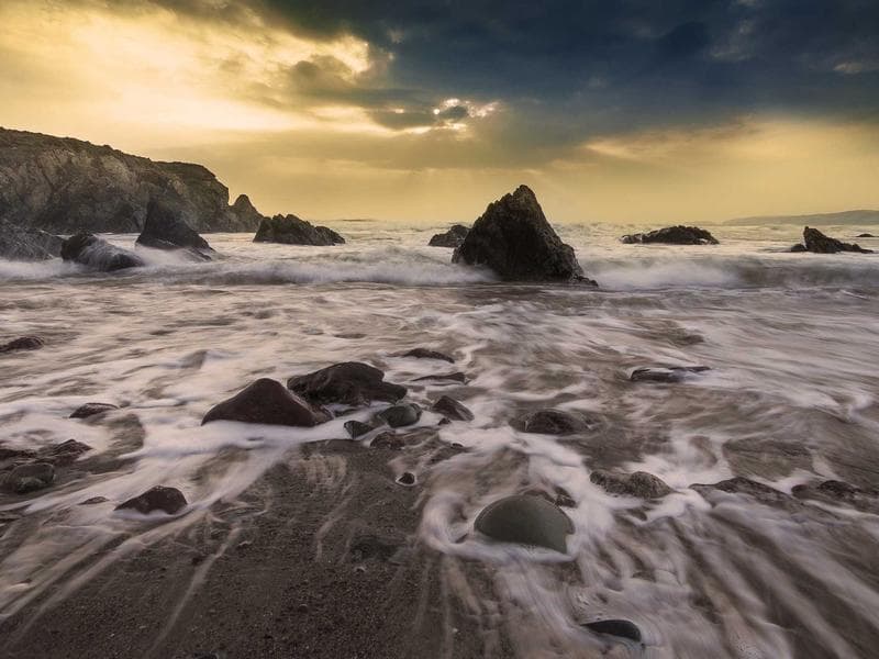 DEWALT Oriental Metal Bike (KA)