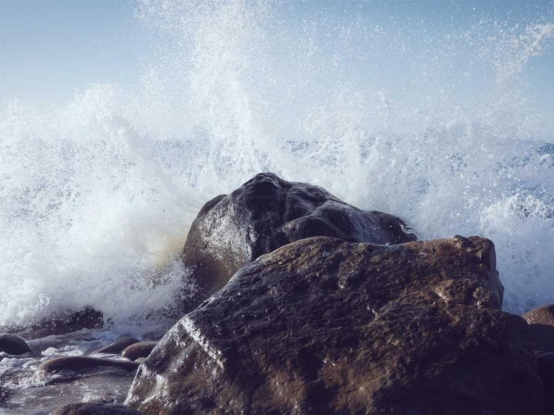 DEWALT Practical Marble Fish (KA)