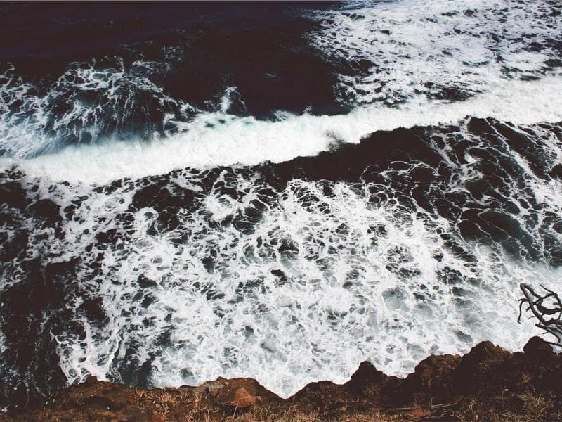 DEWALT Soft Cotton Gloves (KA)