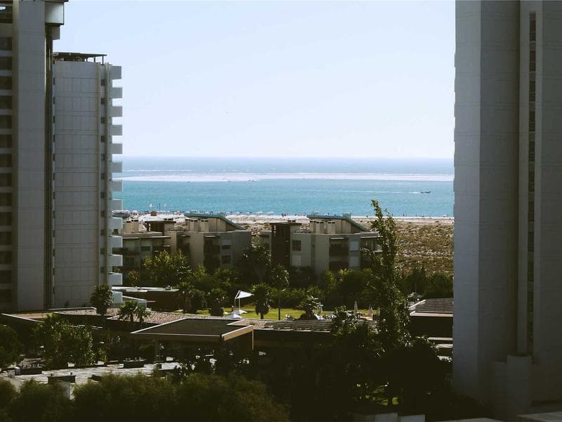 DEWALT Luxurious Gold Cheese (KA) 3