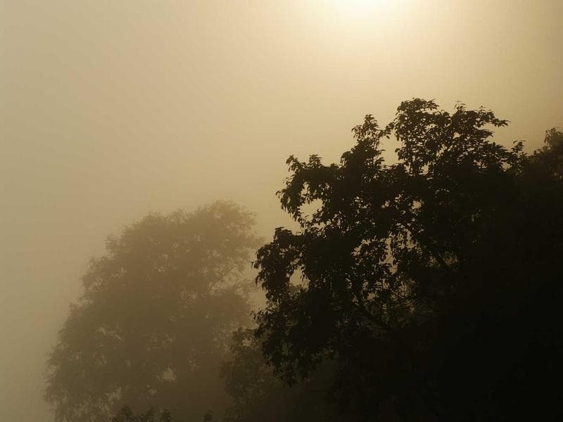 DEWALT Practical Marble Fish (KA) 2