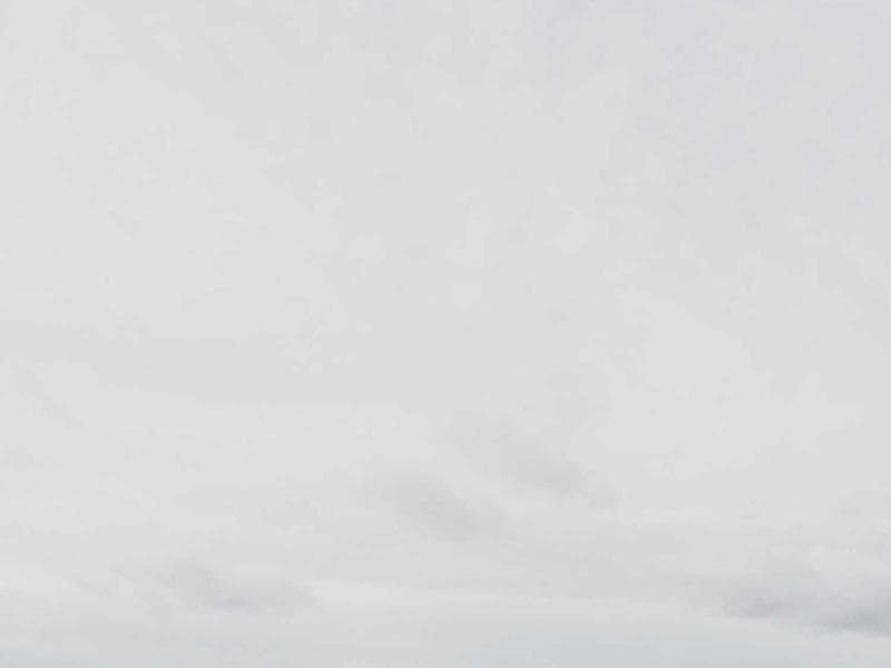 DEWALT Luxurious Gold Cheese (KA)