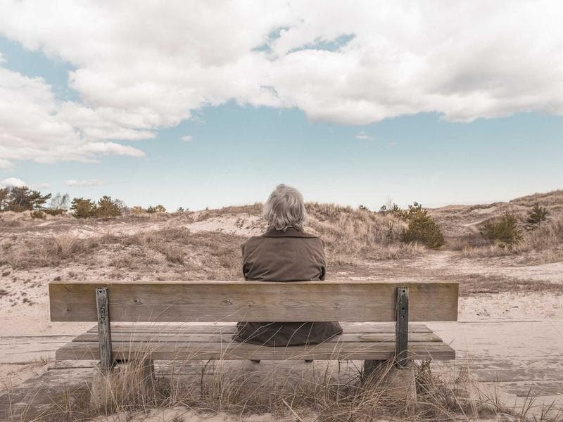 DEWALT Gorgeous Granite Chicken (KA) 2