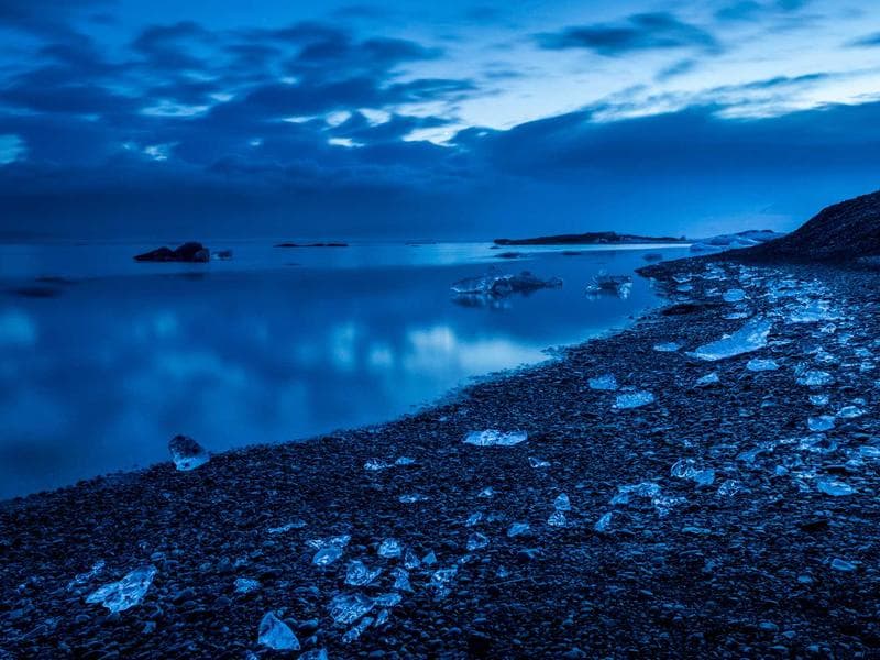 DEWALT Small Steel Chicken (KA) 4