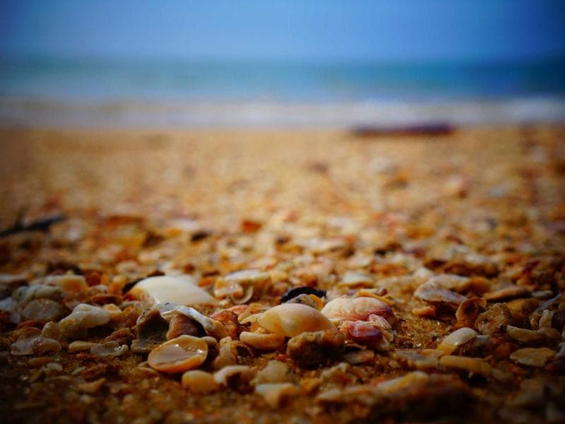 DEWALT Electronic Rubber Shoes (KA)