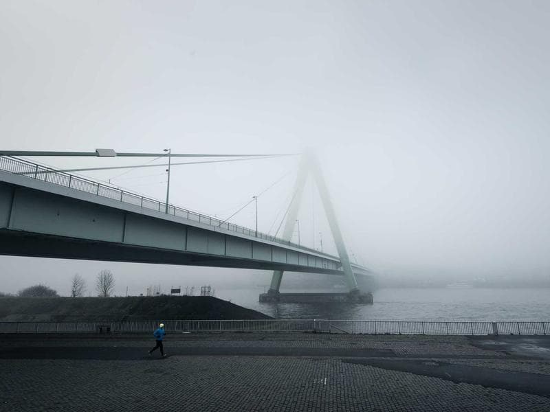 DEWALT Sleek Cotton Tuna (KA) 5