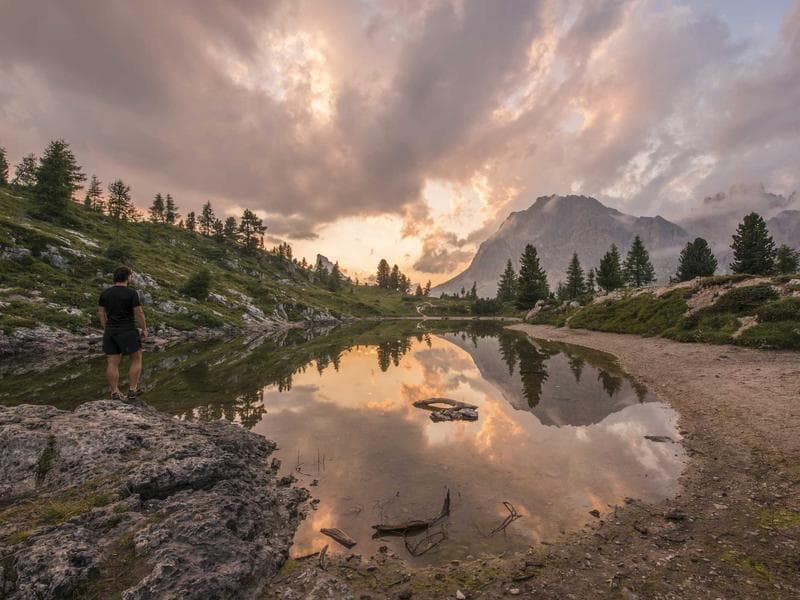 DEWALT Gorgeous Silk Table (KA) 2